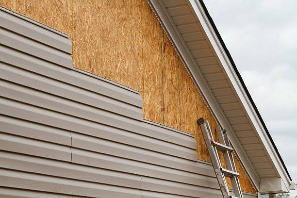 Professional Wood Siding technician working in Hinckley, MN